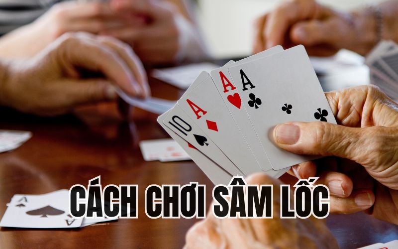 sâm lốc là gì?