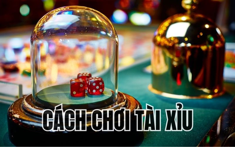 Cách chơi tài xỉu căn bản