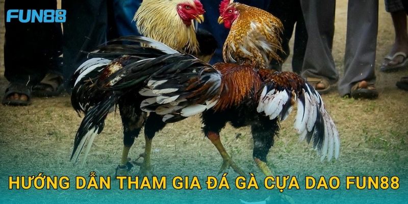 Hướng dẫn tham gia đá gà cựa dao Fun88