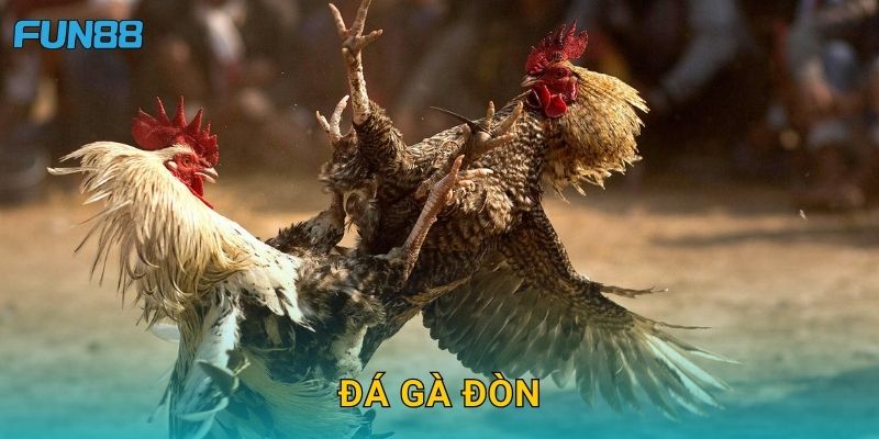 Đá gà đòn Fun88 gay cấn với lối chơi truyền thống