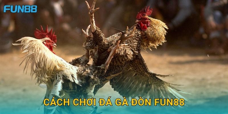 Cách chơi đá gà đòn Fun88