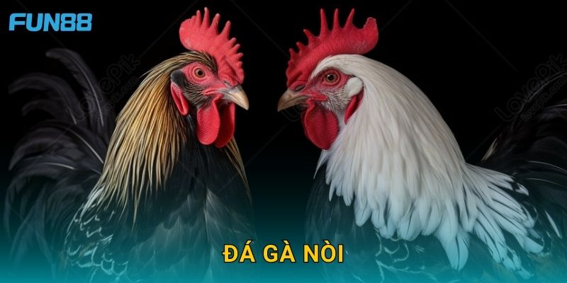 Đá gà nòi Fun88 tái hiện nét đặc trưng dân gian