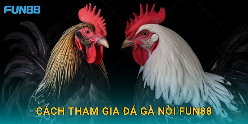 Cách tham gia đá gà nòi Fun88