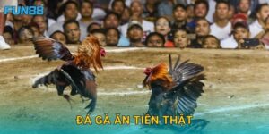 Đá gà ăn tiền thật Fun88 an toàn và minh bạch tuyệt đối