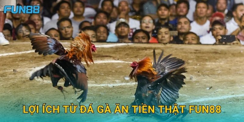 Lợi ích từ đá gà ăn tiền thật Fun88
