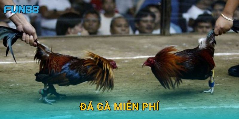 Đá gà miễn phí Fun88 trải nghiệm không cần nạp tiền