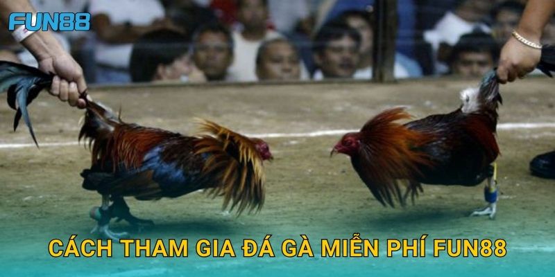 Cách tham gia đá gà miễn phí Fun88